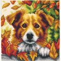 Cane in autunno