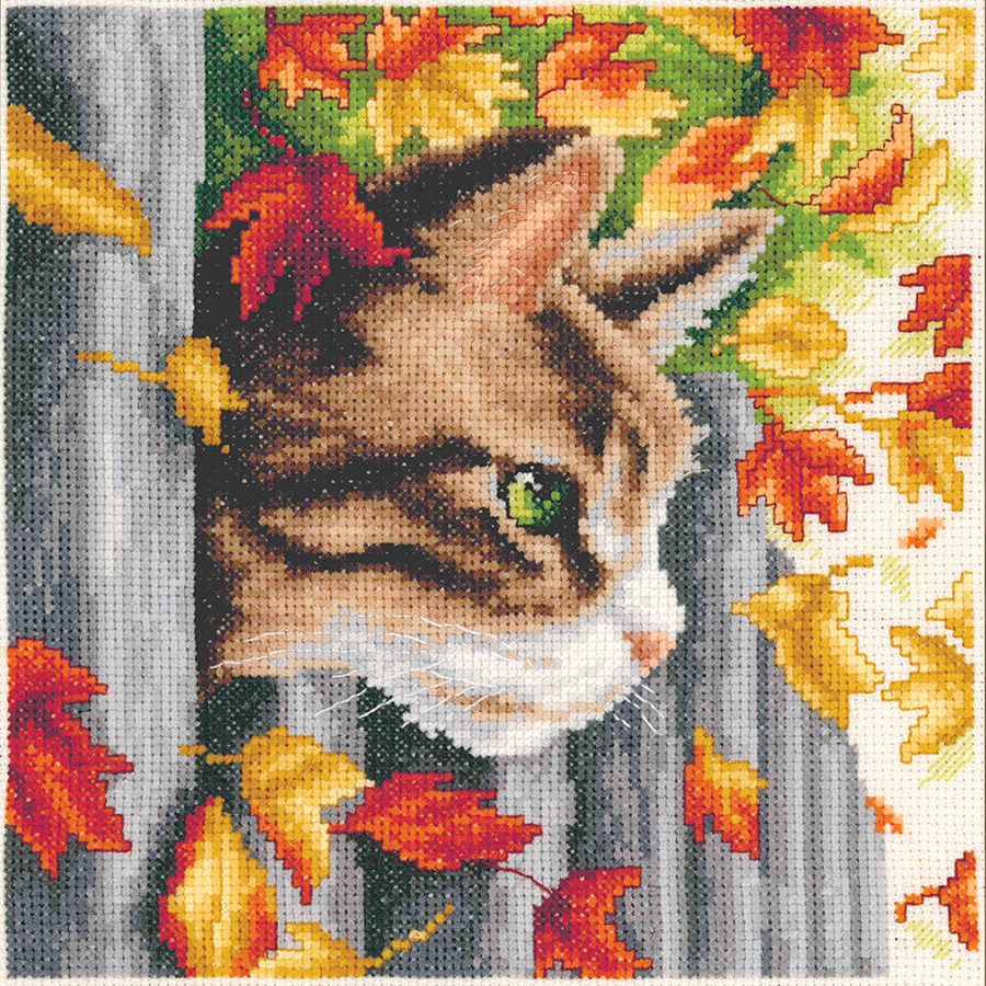 Gattino nella recinzione