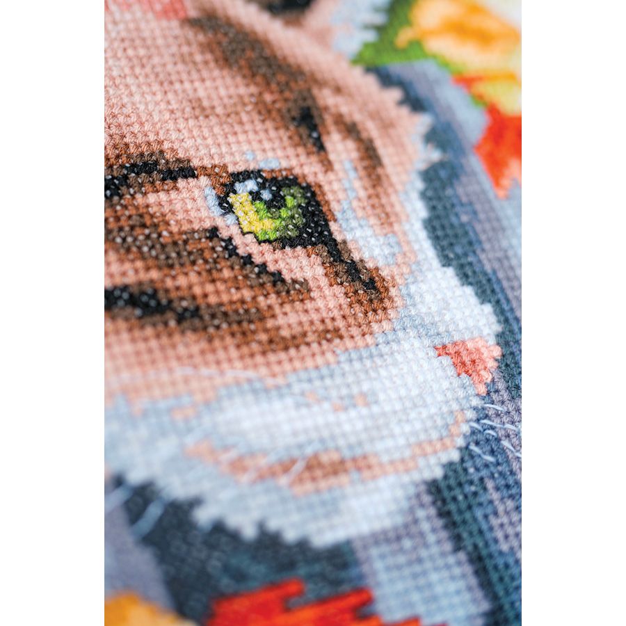 Gattino nella recinzione