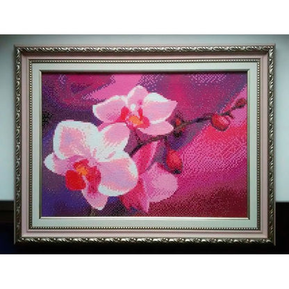 Ramo di orchidee