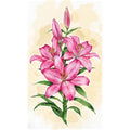 Giglio rosa
