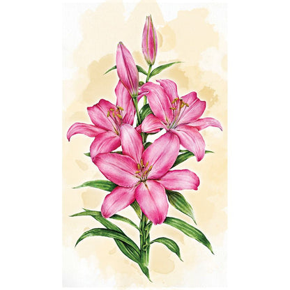 Giglio rosa