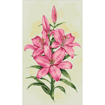 Giglio rosa