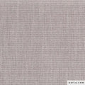 Grigio piccione