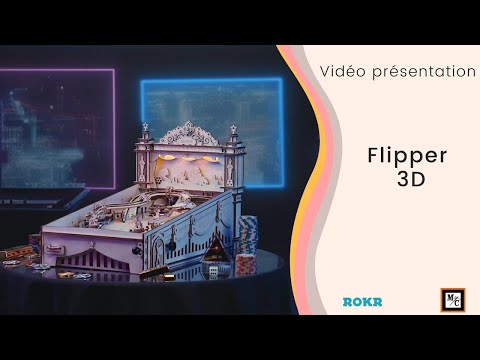 Flipper 3D