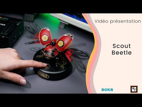 Scarabeo