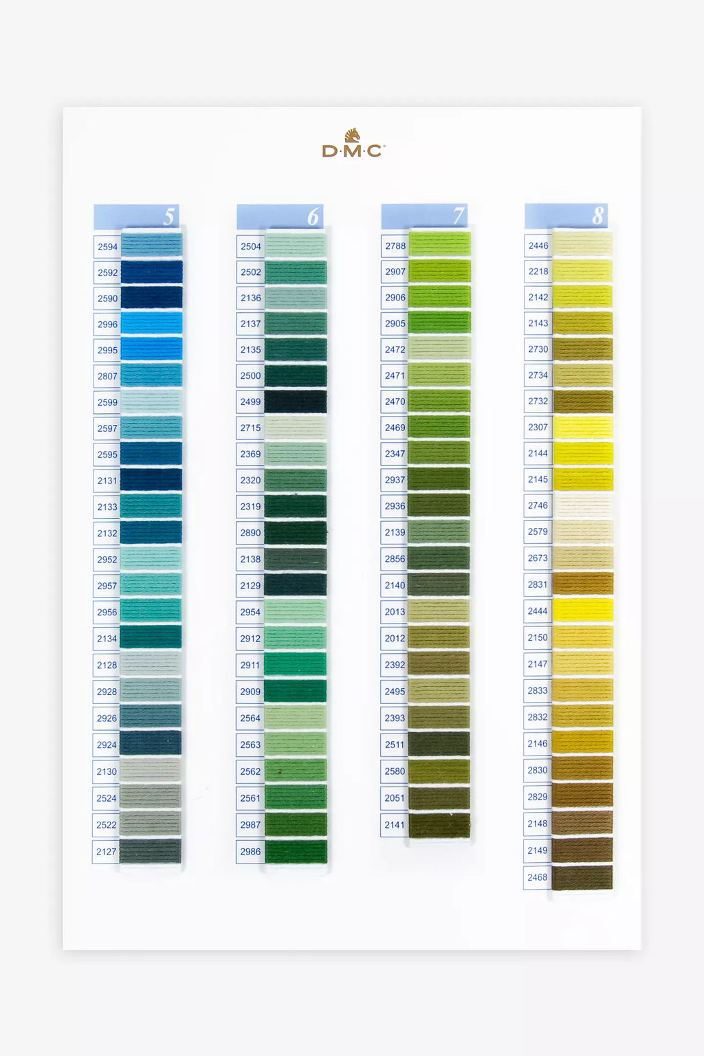 Cartella Colori Cotone Ritorto DMC